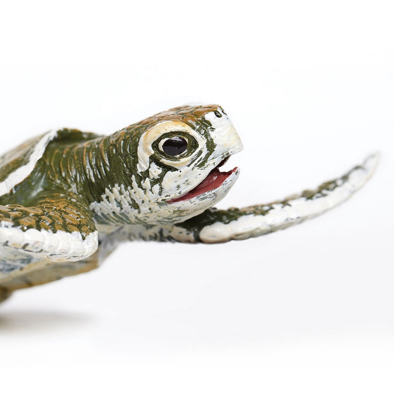 Safari Ltd Kemps Ridley Sea Turtle Baby