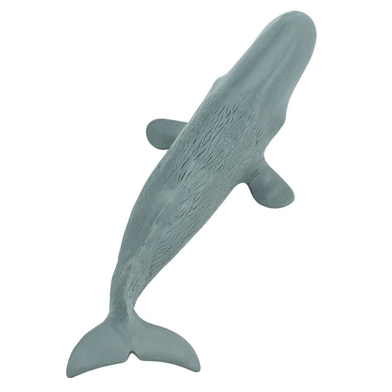 Safari Ltd Sperm Whale Wild