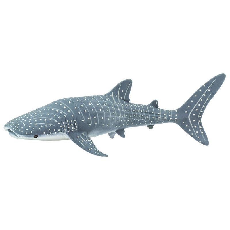 Safari Ltd Whale Shark