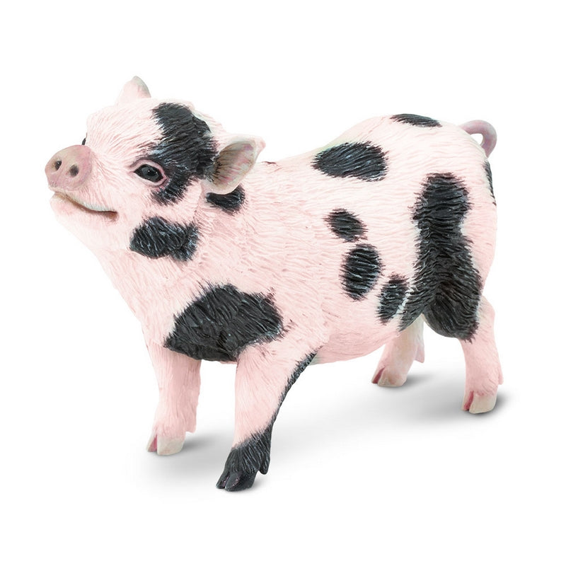 Safari Ltd Pot-Bellied Pig