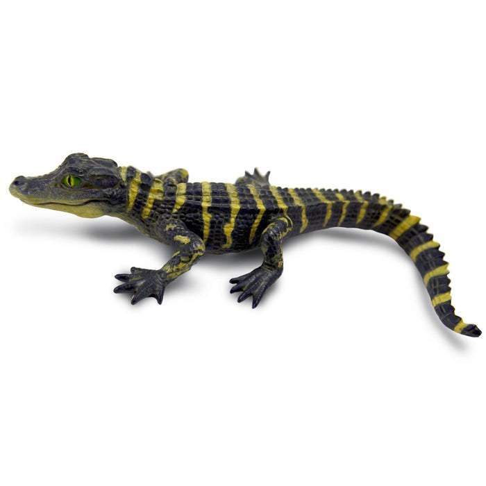 Safari Ltd Alligator Baby