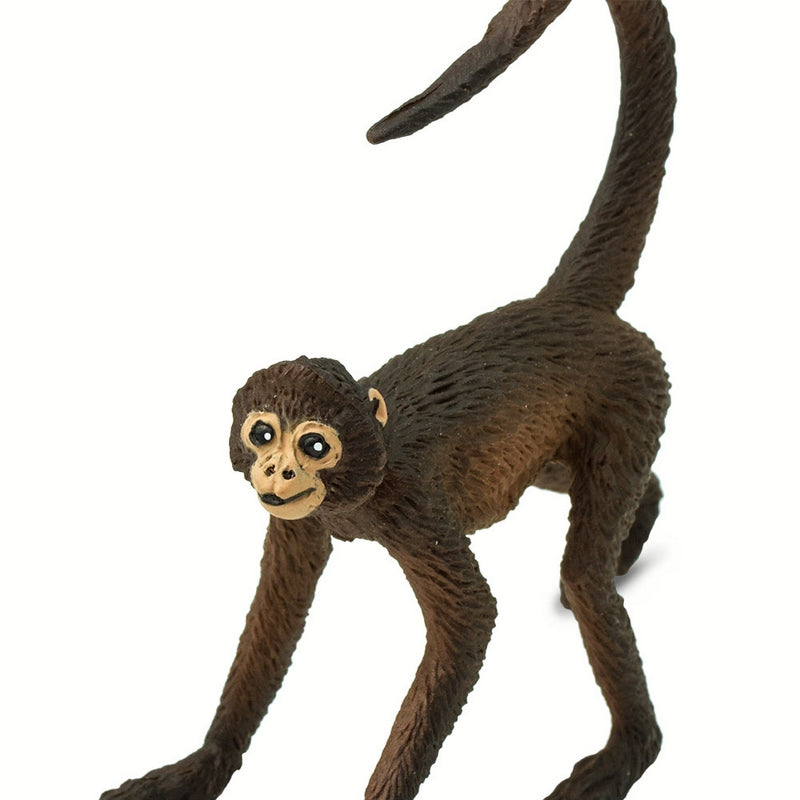 Safari Ltd Spider Monkey