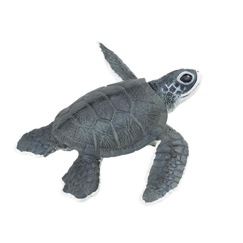 Safari Ltd Sea Turtle Baby