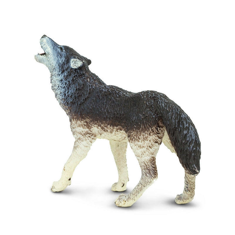 Safari Ltd Gray Wolf