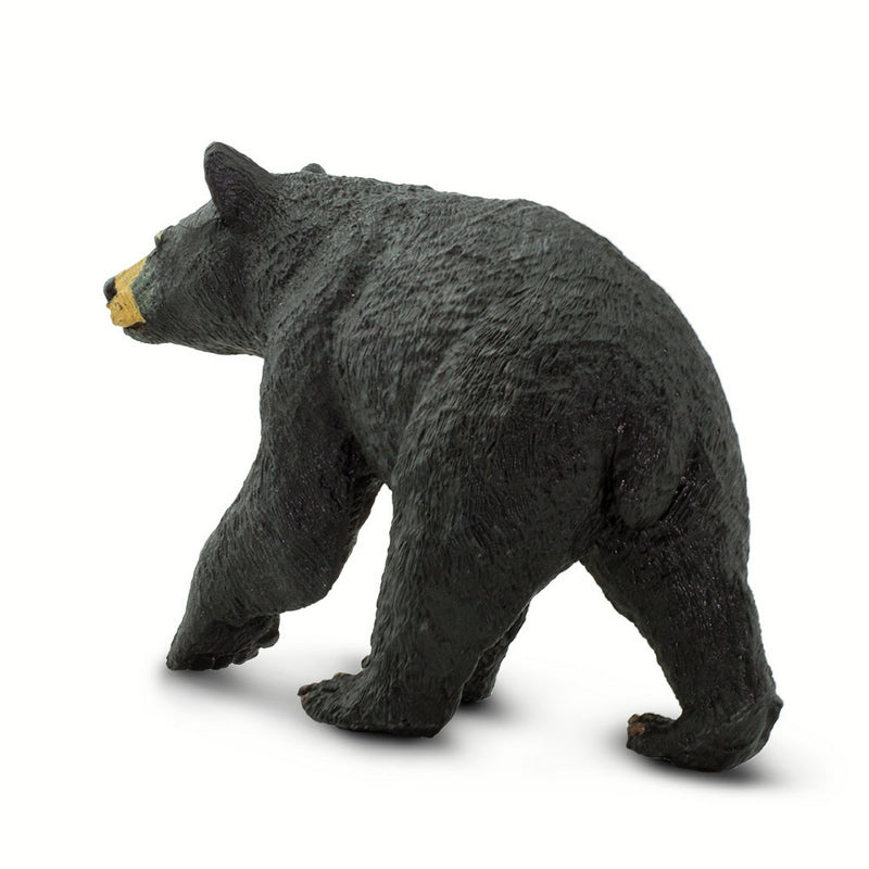 Safari Ltd Black Bear