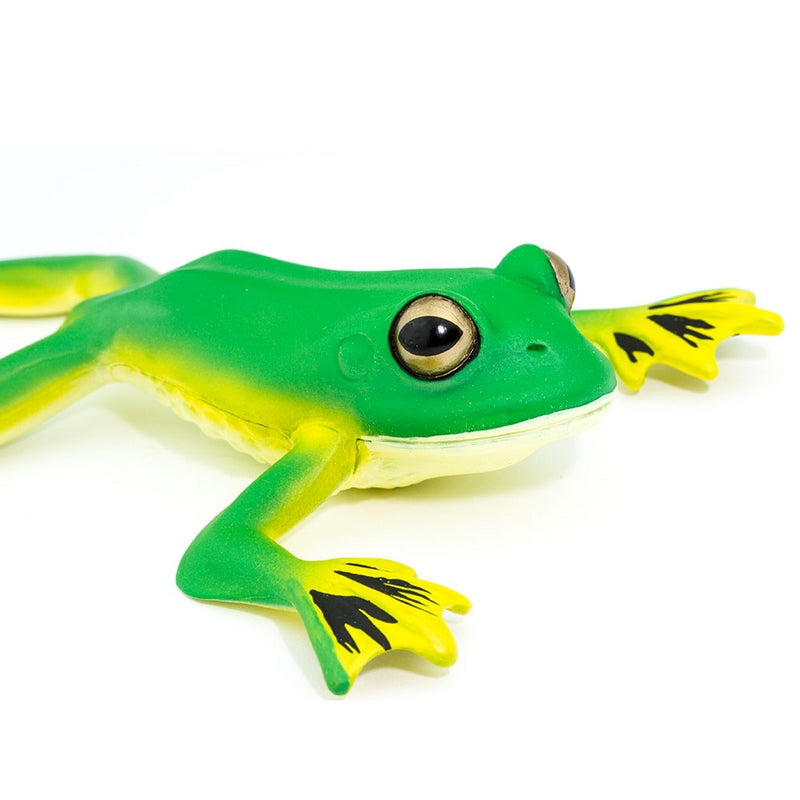 Safari Ltd Flying Tree Frog