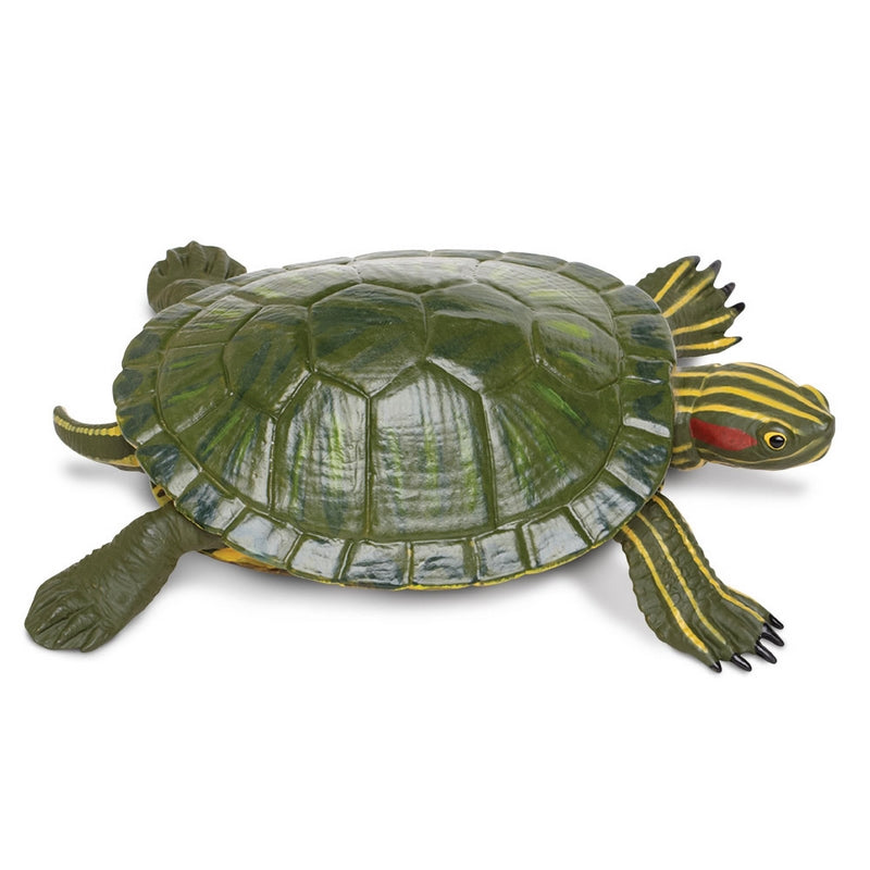 Safari Ltd Red-Eared Slider Turtle