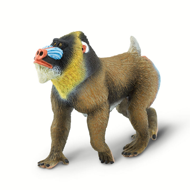 Safari Ltd Mandrill