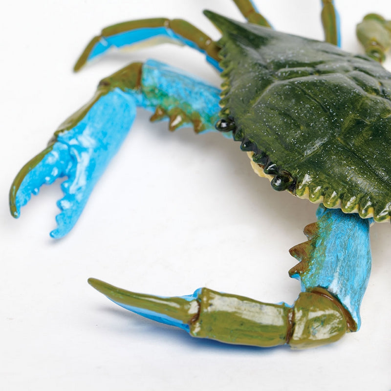 Safari Ltd Blue Crab