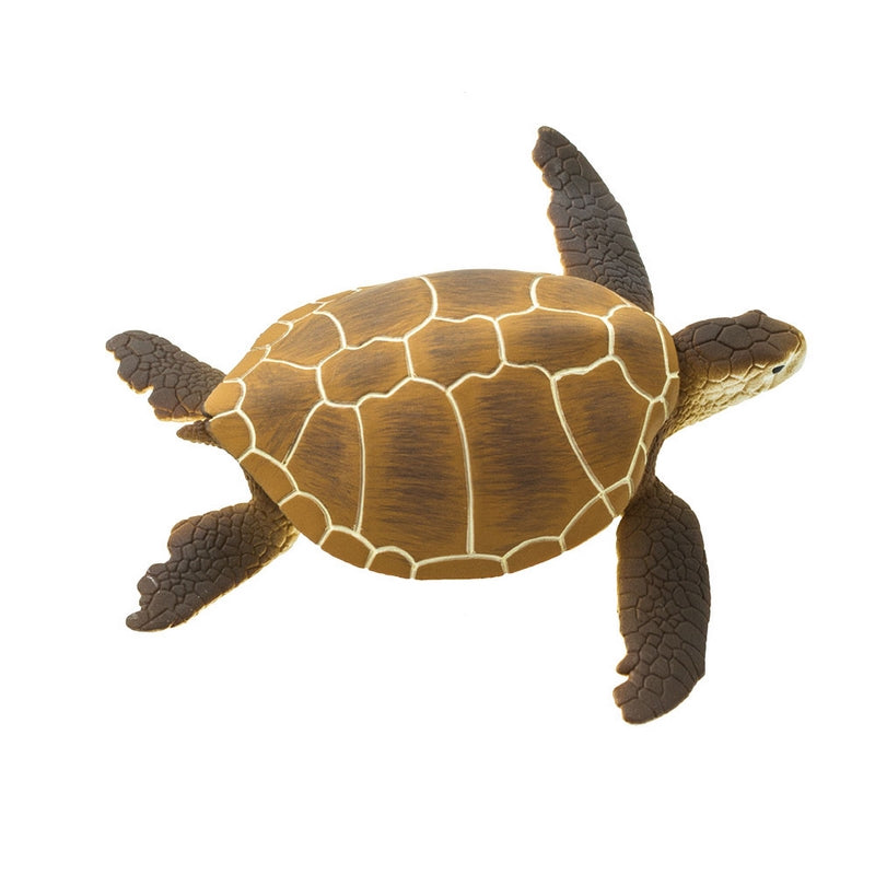 Safari Ltd Green Sea Turtle