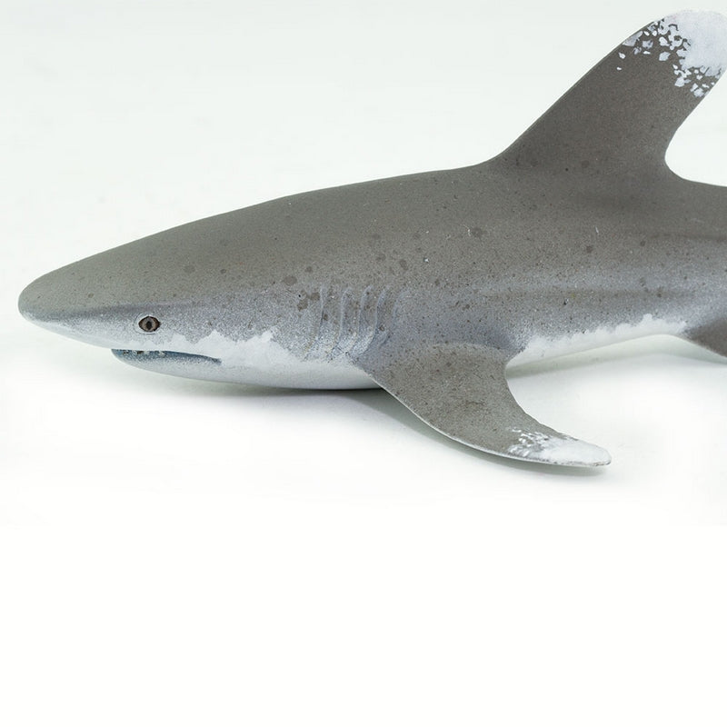 Safari Ltd Ocean Whitetip Shark