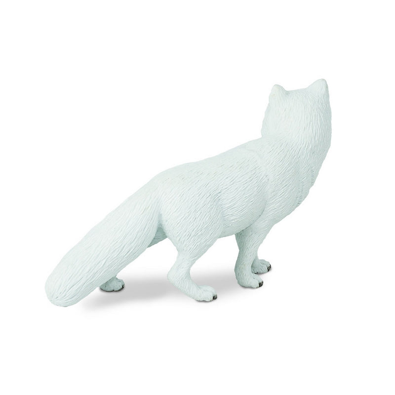 Safari Ltd Arctic Fox