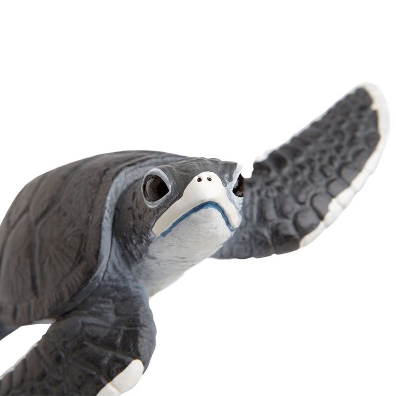 Safari Ltd Sea Turtle Baby