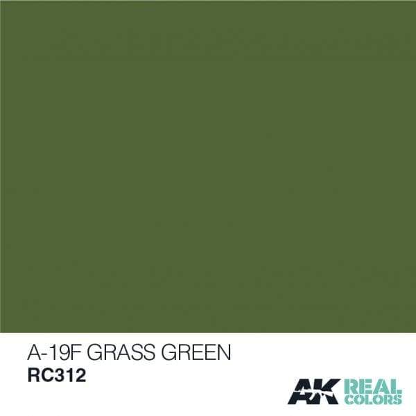 AK Interactive Real Colours A-19F GrassGreen 10ml