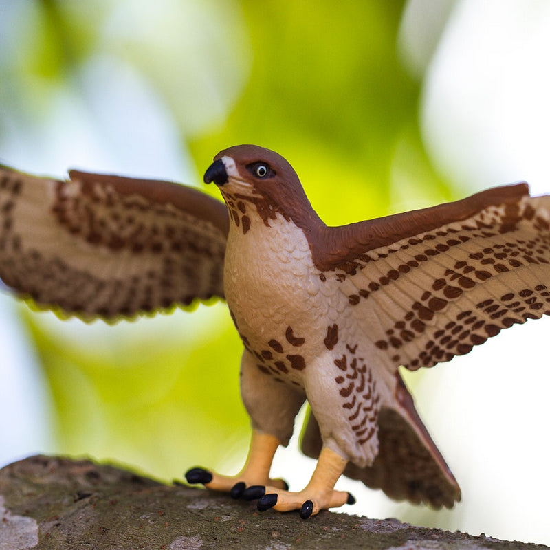 Safari Ltd Red Tailed Hawk