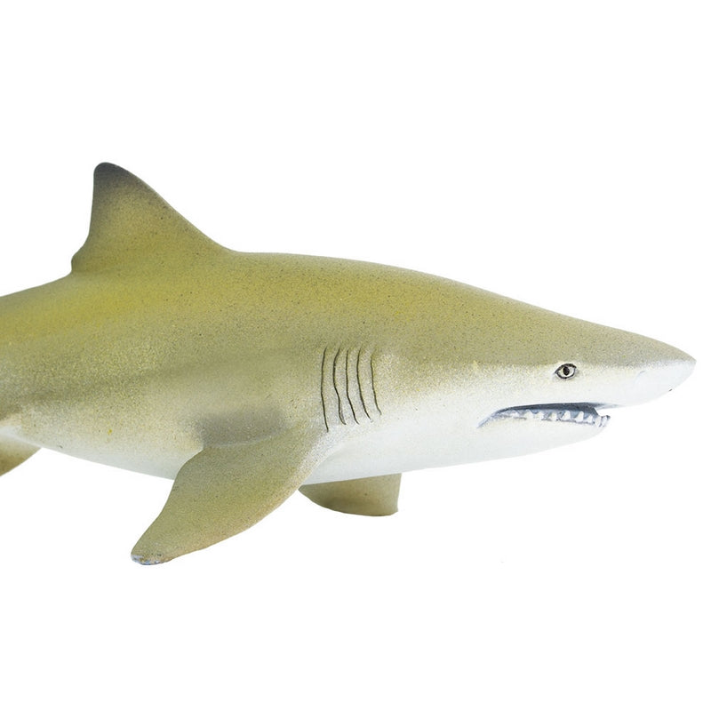 Safari Ltd Lemon Shark