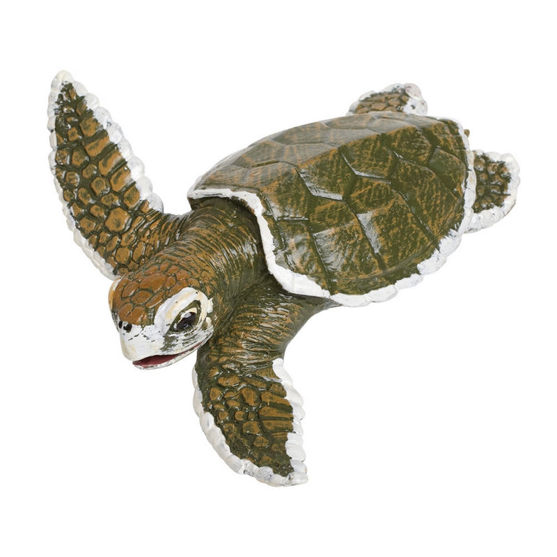 Safari Ltd Kemps Ridley Sea Turtle Baby