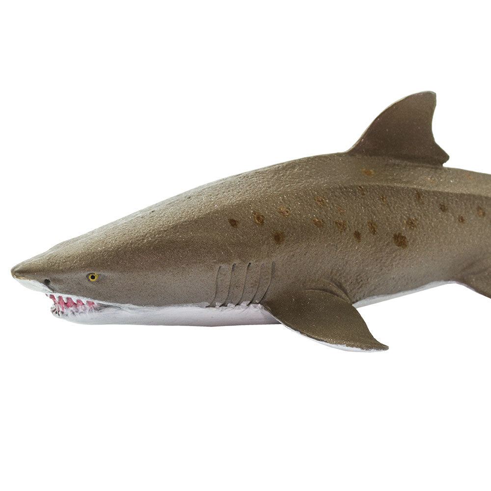 Safari Ltd Sand Tiger Shark