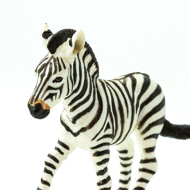 Safari Ltd Zebra Foal