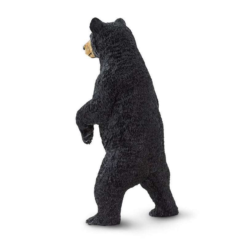 Safari Ltd Black Bear