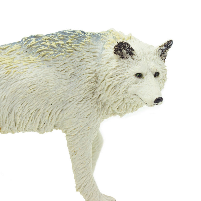 Safari Ltd White Wolf