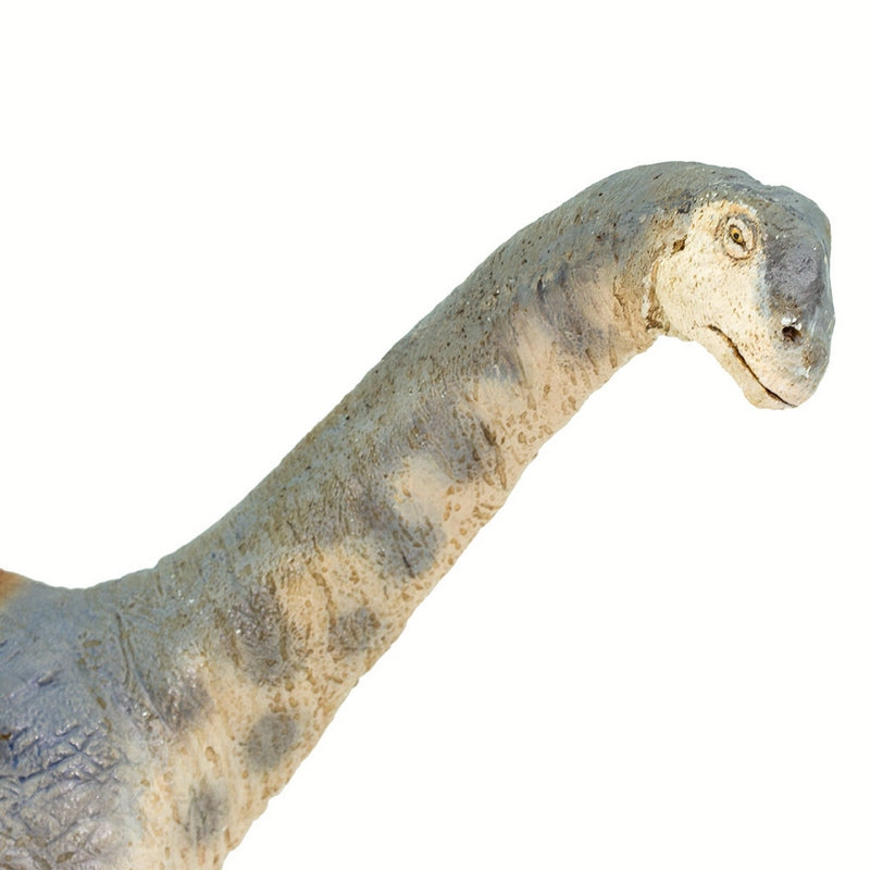 Safari Ltd Camarasaurus