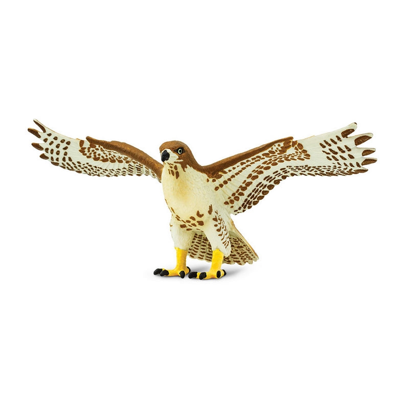 Safari Ltd Red Tailed Hawk