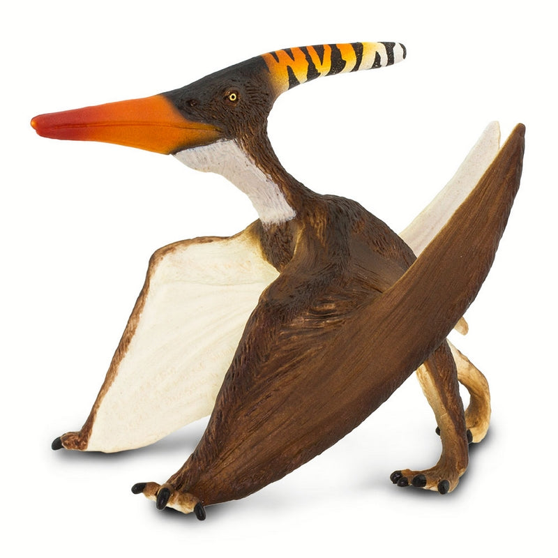 Safari Ltd Pteranodon