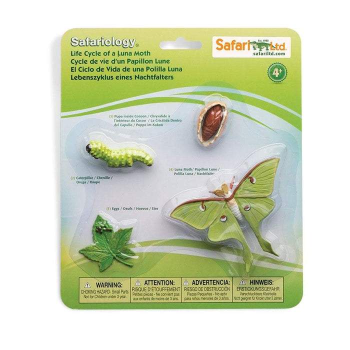 Safari Ltd Life Cycle of a Luna Moth