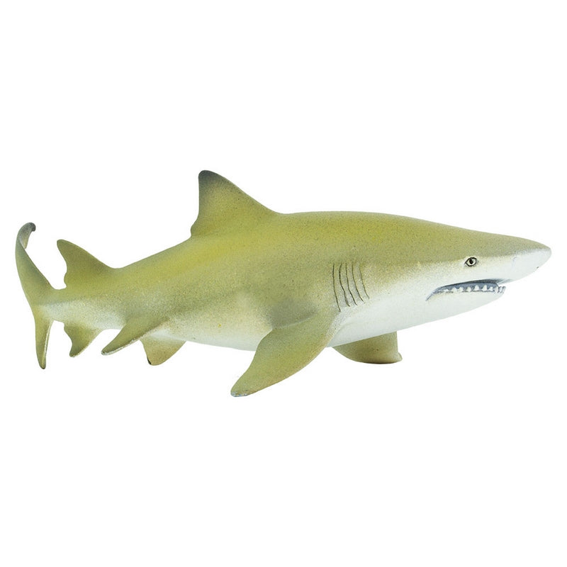 Safari Ltd Lemon Shark