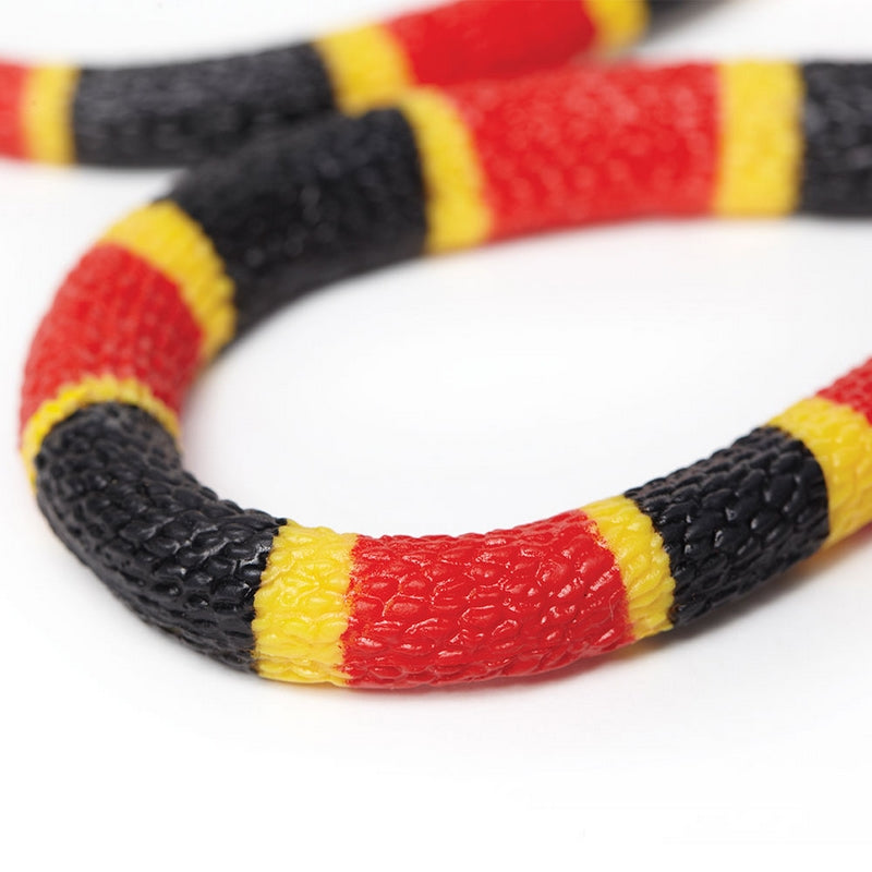 Safari Ltd Coral Snake Baby