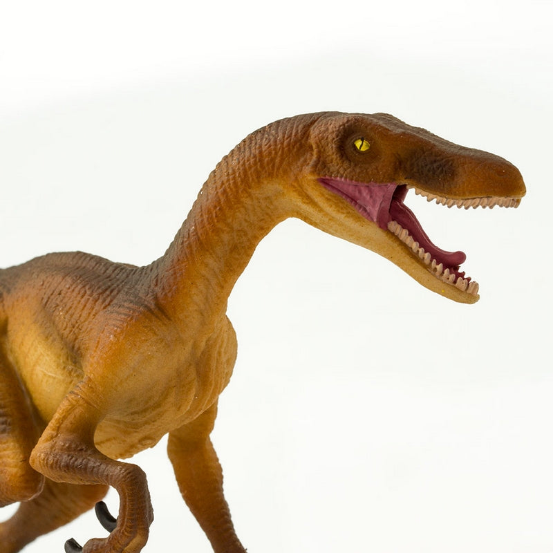 Safari Ltd Velociraptor