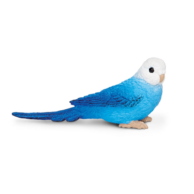 Safari Ltd Blue Budgie