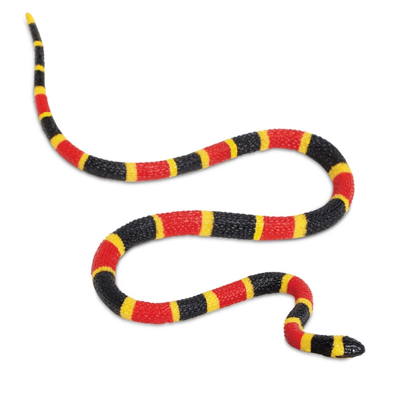 Safari Ltd Coral Snake Baby