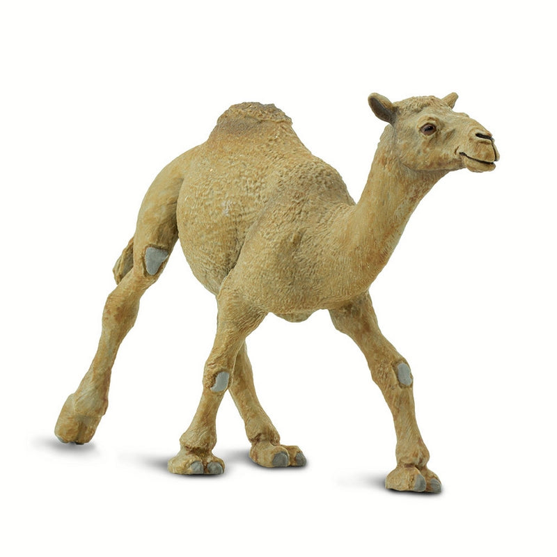 Safari Ltd Dromedary Camel