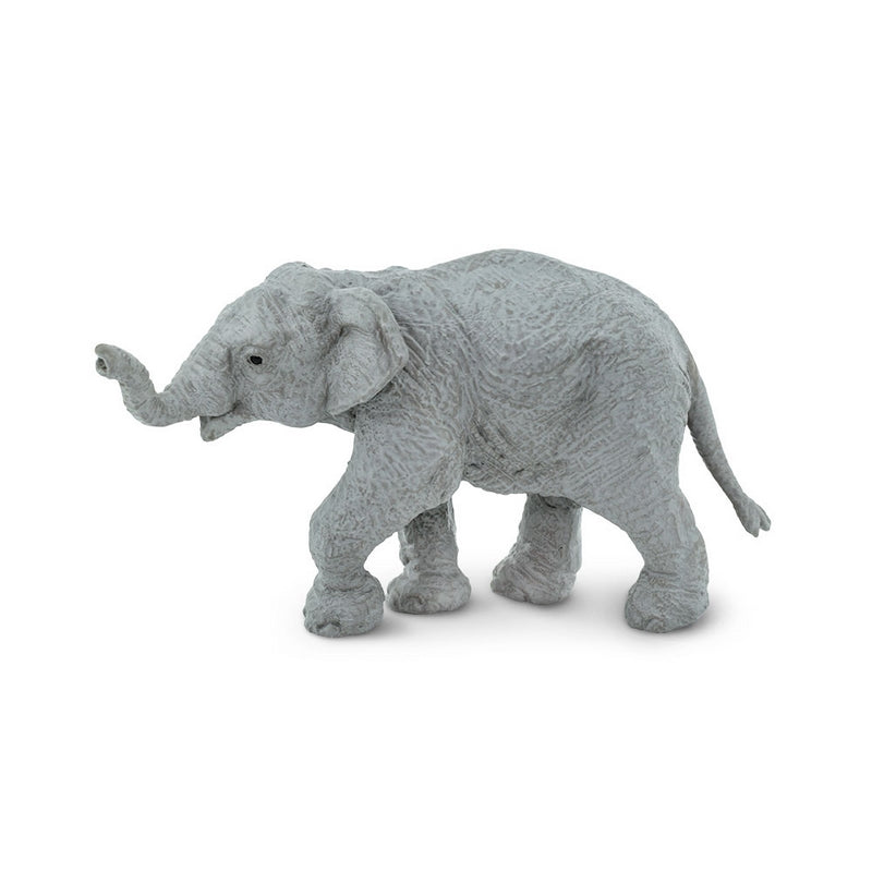 Safari Ltd Asian Elephant Baby