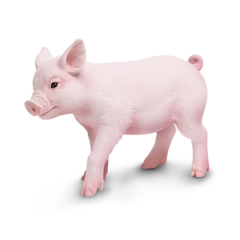 Safari Ltd Piglet